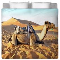 Camel Rest In The Sand Bedding 65232160