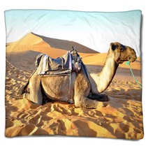 Camel Rest In The Sand Blankets 65232160