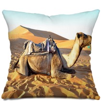 Camel Rest In The Sand Pillows 65232160