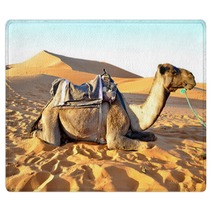 Camel Rest In The Sand Rugs 65232160
