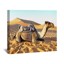 Camel Rest In The Sand Wall Art 65232160