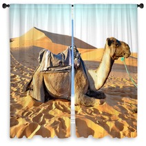 Camel Rest In The Sand Window Curtains 65232160