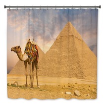 Camel Standing Front Pyramids H Bath Decor 41629907
