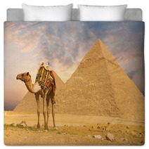 Camel Standing Front Pyramids H Bedding 41629907