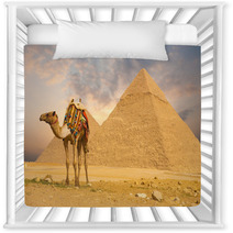Camel Standing Front Pyramids H Nursery Decor 41629907