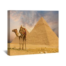 Camel Standing Front Pyramids H Wall Art 41629907