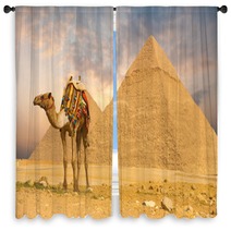 Camel Standing Front Pyramids H Window Curtains 41629907