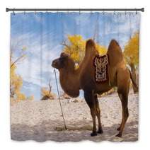 Camel Standing In The Desert Bath Decor 92230416