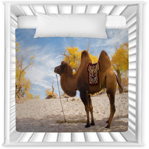 Camel Standing In The Desert Nursery Decor 92230416