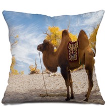 Camel Standing In The Desert Pillows 92230416