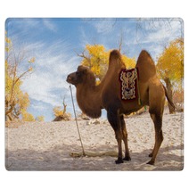 Camel Standing In The Desert Rugs 92230416