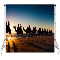 Camels In Cable Beach Backdrops 90761212
