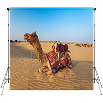 Camels In Desert Backdrops 78512195