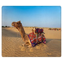 Camels In Desert Rugs 78512195