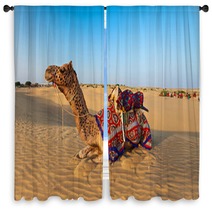 Camels In Desert Window Curtains 78512195