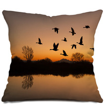Canadian Geese At Sunset Pillows 38280116