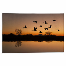 Canadian Geese At Sunset Rugs 38280116