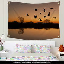 Canadian Geese At Sunset Wall Art 38280116