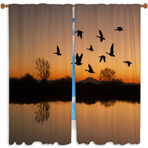 Canadian Geese At Sunset Window Curtains 38280116