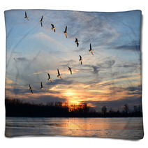 Canadian Geese Flying In V Formation Blankets 62110777