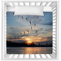 Canadian Geese Flying In V Formation Nursery Decor 62110777