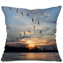 Canadian Geese Flying In V Formation Pillows 62110777