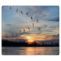 Canadian Geese Flying In V Formation Rugs 62110777