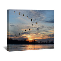 Canadian Geese Flying In V Formation Wall Art 62110777