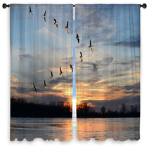 Canadian Geese Flying In V Formation Window Curtains 62110777