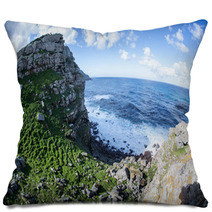 Cape Of Good Hope 1 Pillows 64362257