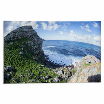 Cape Of Good Hope 1 Rugs 64362257