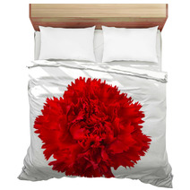 Carnation Flower Isolated Bedding 58316622