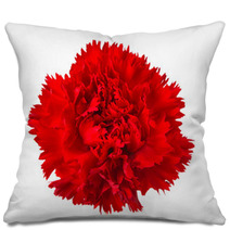 Carnation Flower Isolated Pillows 58316622