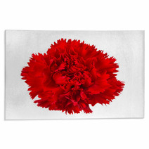 Carnation Flower Isolated Rugs 58316622