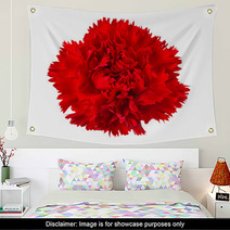 Carnation Flower Isolated Wall Art 58316622