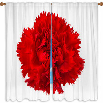 Carnation Flower Isolated Window Curtains 58316622