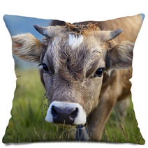 Carpathian Cow Pillows 67545585
