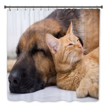 Cat And Dog Sleeping Together Bath Decor 57899907