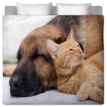 Cat And Dog Sleeping Together Bedding 57899907
