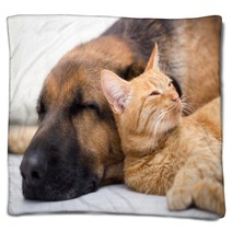 Cat And Dog Sleeping Together Blankets 57899907