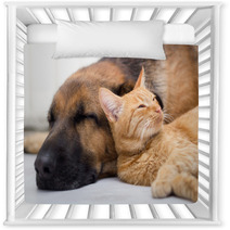 Cat And Dog Sleeping Together Nursery Decor 57899907