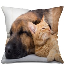 Cat And Dog Sleeping Together Pillows 57899907