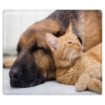 Cat And Dog Sleeping Together Rugs 57899907