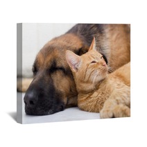 Cat And Dog Sleeping Together Wall Art 57899907