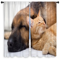 Cat And Dog Sleeping Together Window Curtains 57899907