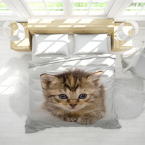 Cat At Rest On White Background Bedding 3267559