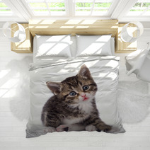 Cat Bedding 1123891