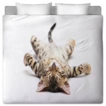 Cat Bedding 52180044