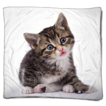 Cat Blankets 1123891