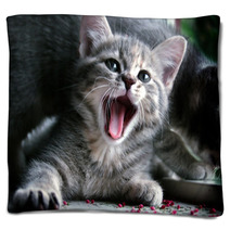 Cat Blankets 222829